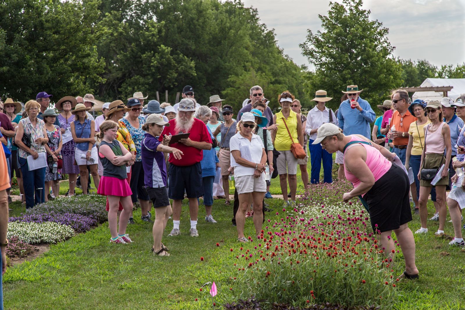 spectators in field at field day